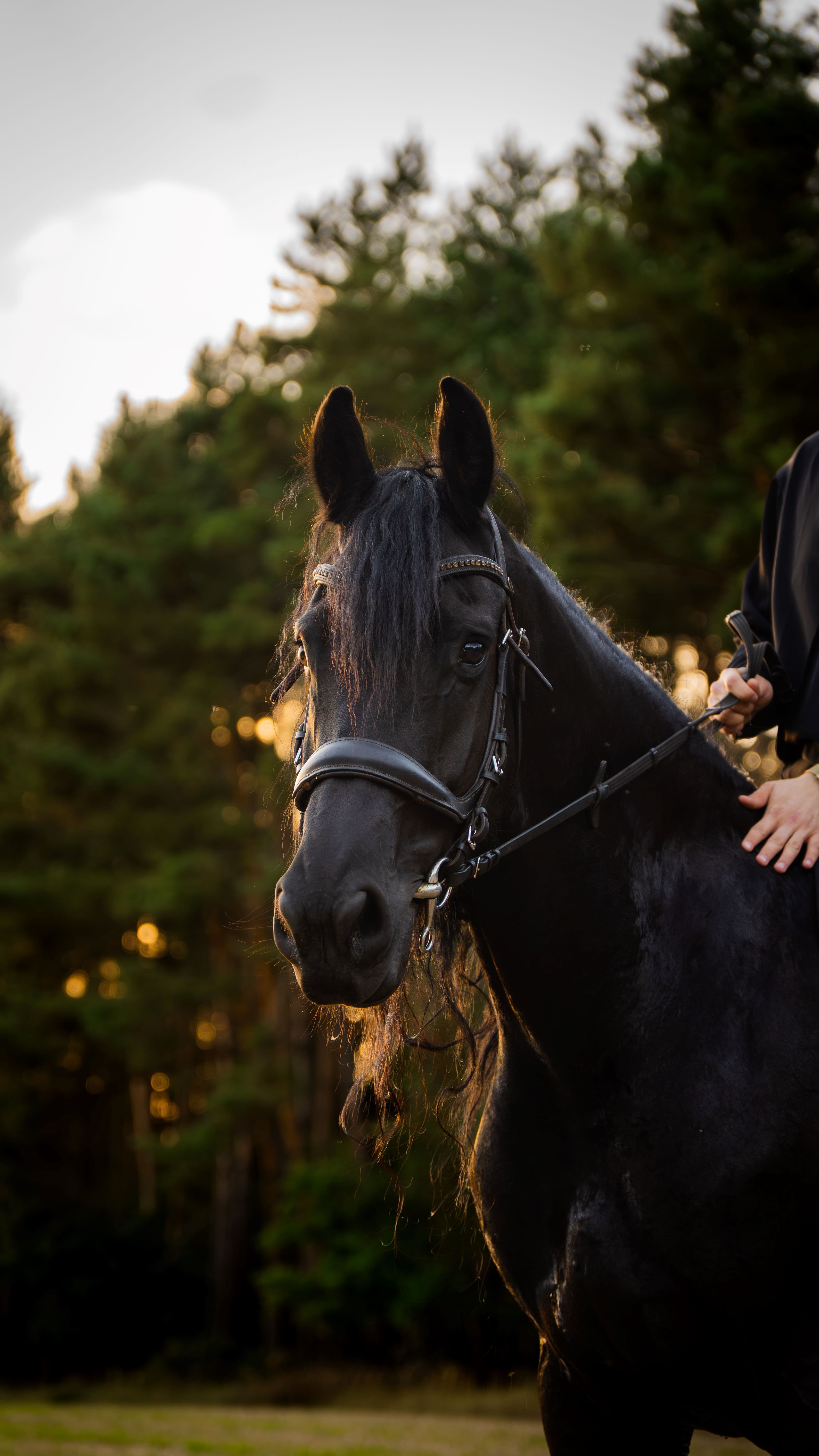 Sesja Osobowa Antek - zdjęcie 4